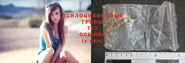спайс Покачи