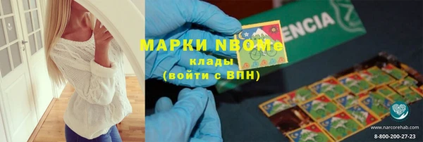 крисы Алексин