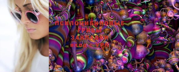 крисы Алексин